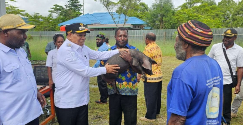 Bupati Kabupaten Yalimo Nahor Nekwek Serahkan Bantuan Ternak Babi. foto : istimewa 