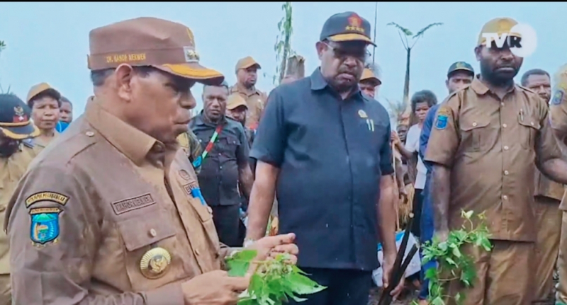 Bupati Yalimo Nahor Nekwek Melakukan Penanaman Ubi Jalar Secara Simbolis. foto : humas